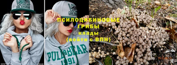 каннабис Алзамай