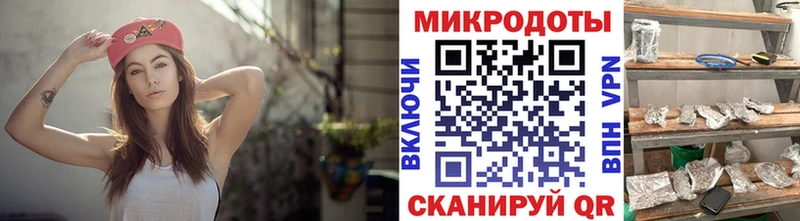 где купить   Фатеж  Галлюциногенные грибы Psilocybine cubensis 